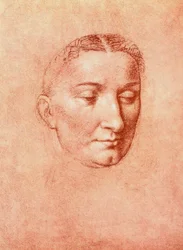 Studie für den Kopf eines Heiligen (Gallerie dell